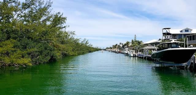 Lower Matecumbe Key - Image 1