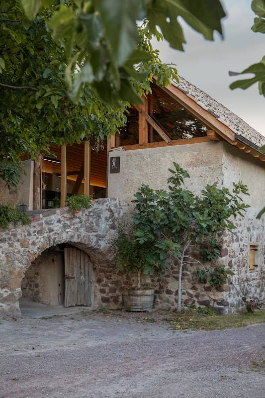 Weingut Bergmannhof - Image 1