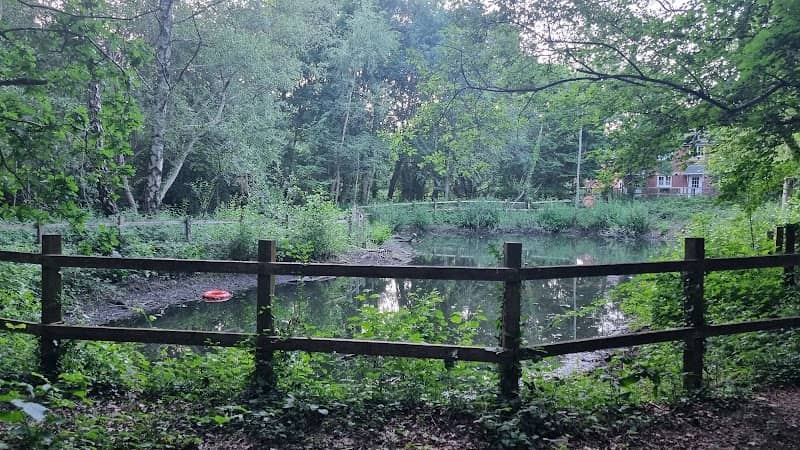 Mescott Pond - Image 1