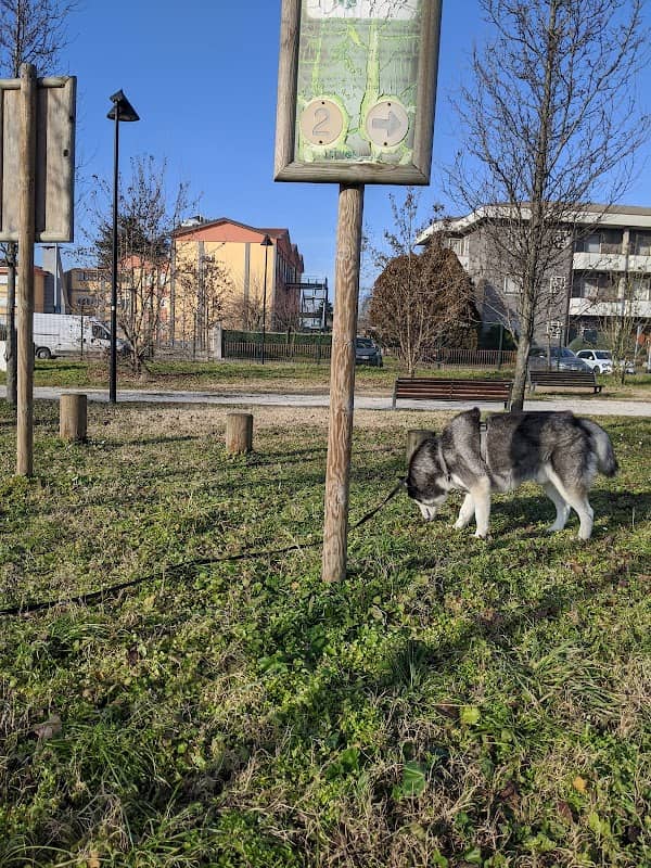 Montagnola Park - Image 2