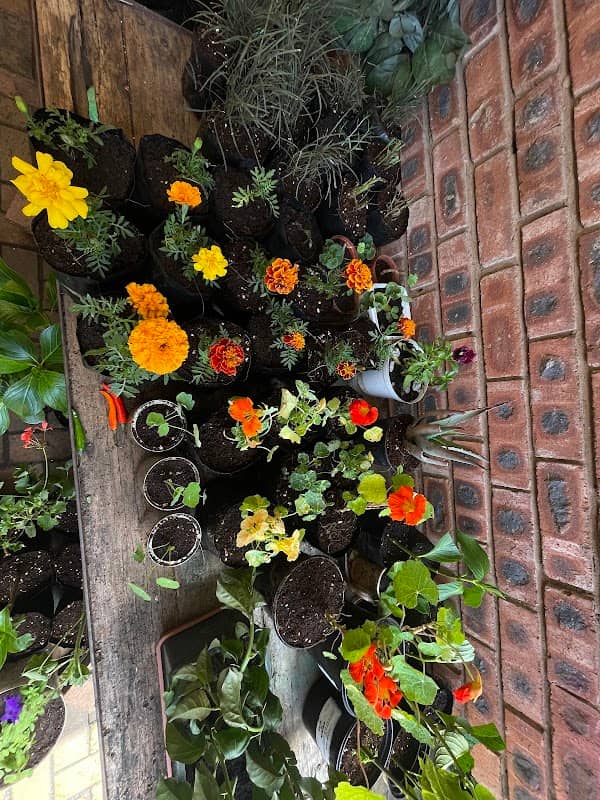 PepperTree Organics - Image 1