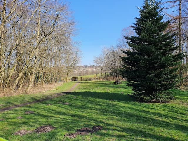 Hoddlesden Milenium Green And Woodland Walk - Image 2
