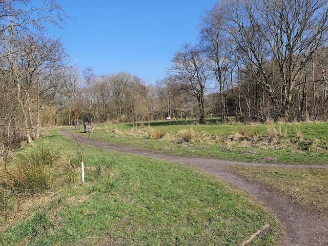 Hoddlesden Milenium Green And Woodland Walk - Image 1