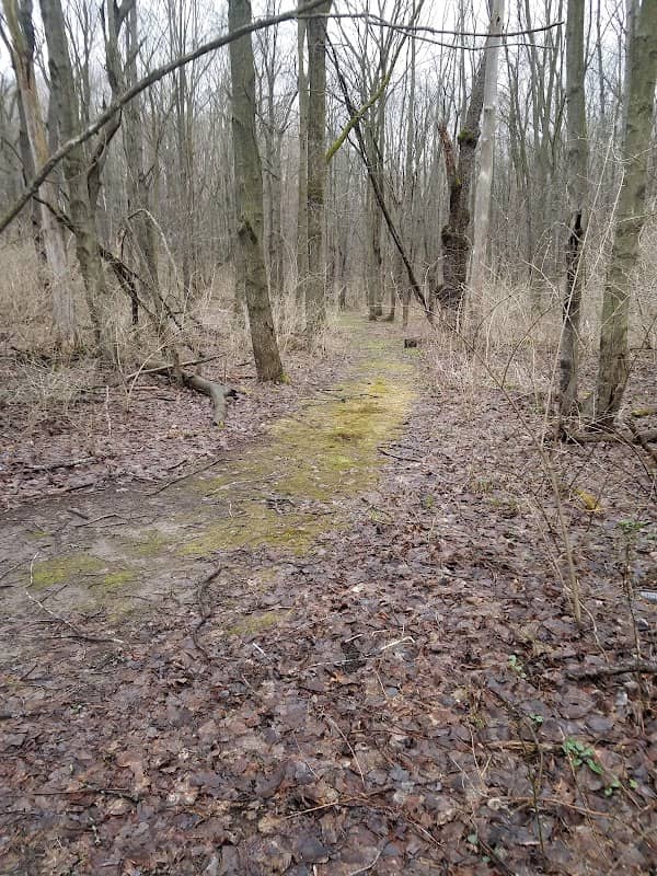 Fletcher-Robson Nature Park - Image 1