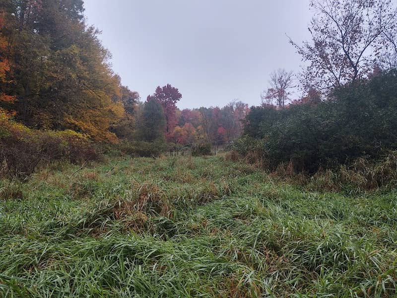 Fletcher-Robson Nature Park - Image 2