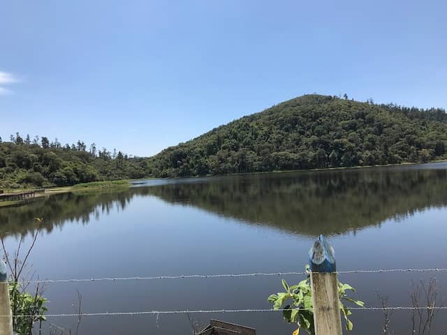 Campos do Jordão - Image 3