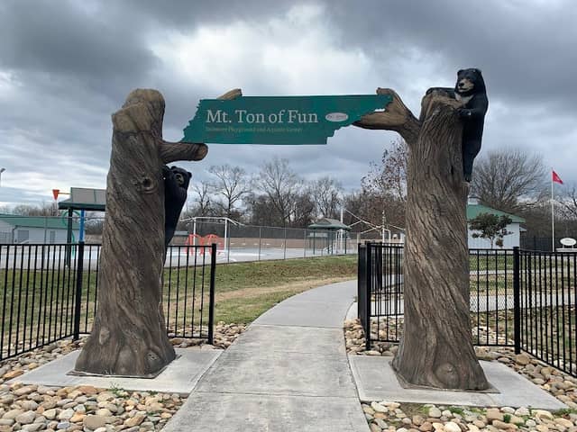 Mt. Ton of Fun Inclusive Playground - Image 2