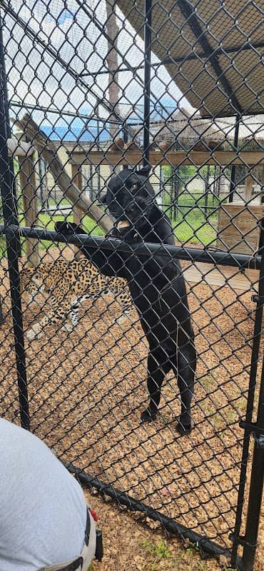 Panther Ridge Conservation Center - Image 2