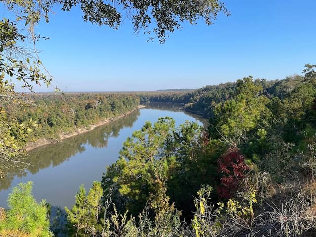 The Nature Conservancy Apalachicola Bluffs and Ravines Preserve (Garden of Eden trail) - Image 1