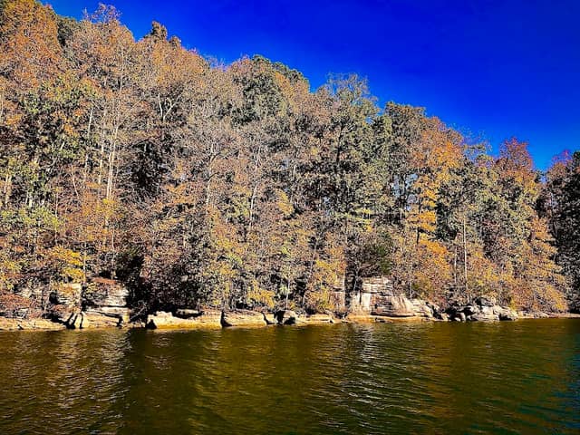 Bluff Cliffs - Image 2