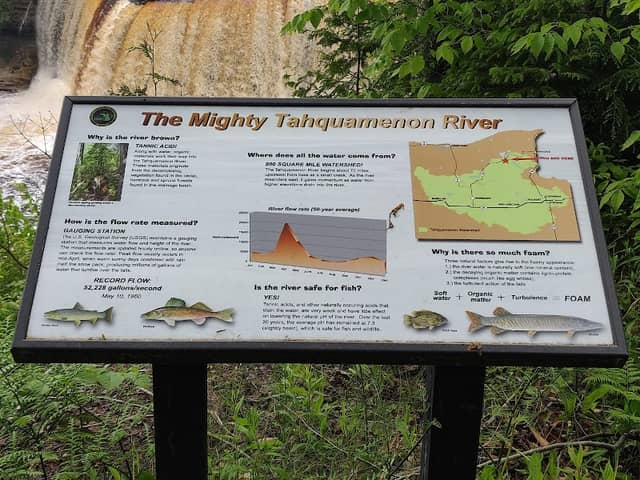 Tahquamenon Upper Falls - Image 2