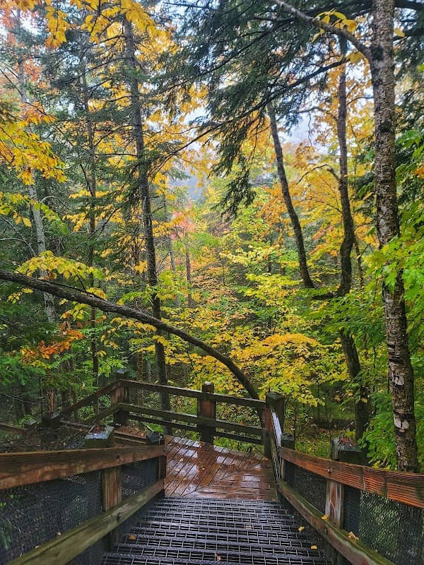Tahquamenon Upper Falls - Image 1
