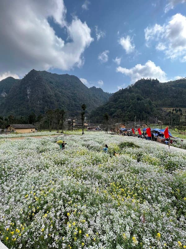 Thung Lũng Sủng Là - Image 2
