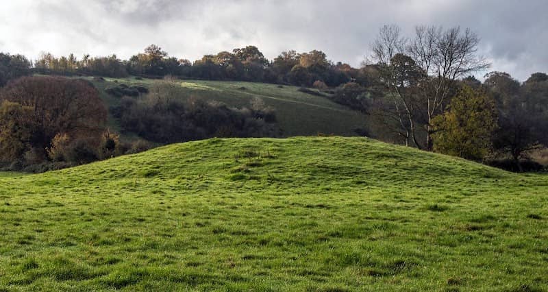 Cock Marsh - Image 1