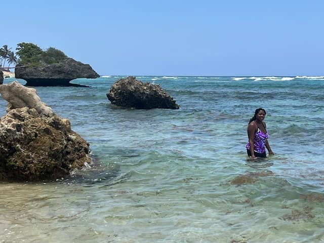 OrchidBay - Image 1