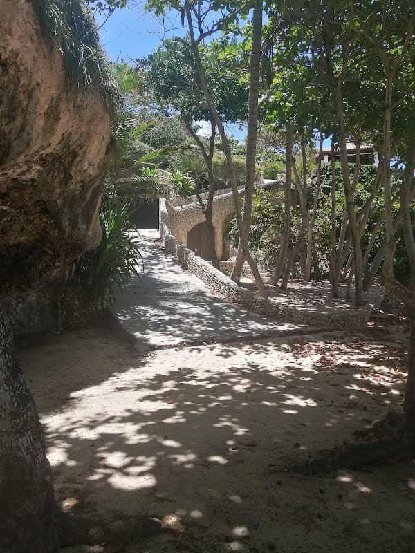 OrchidBay - Image 2