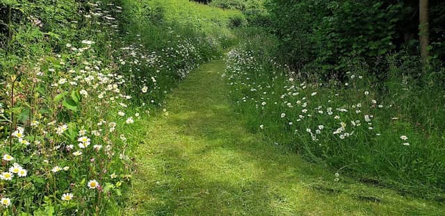 Community garden - Image 1