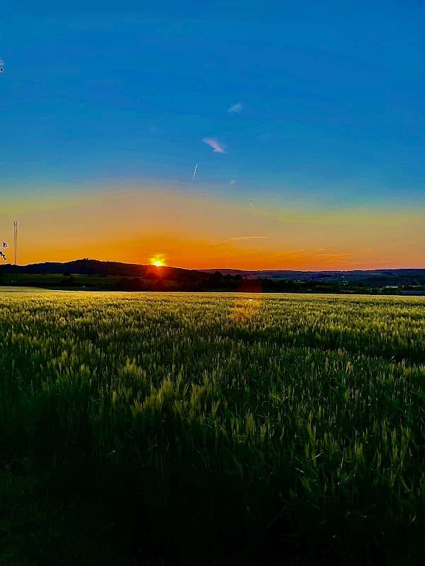 Büdinger Aussicht - Image 1