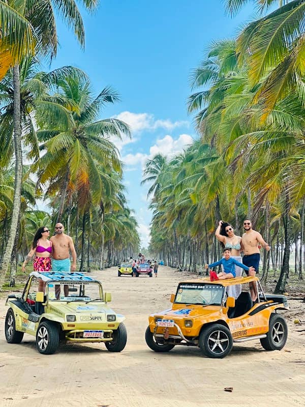 Coconut Tree Route - Image 3