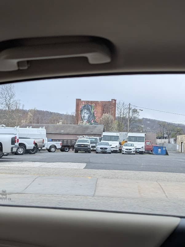 Mural: Kaiya with Tulips - Image 2
