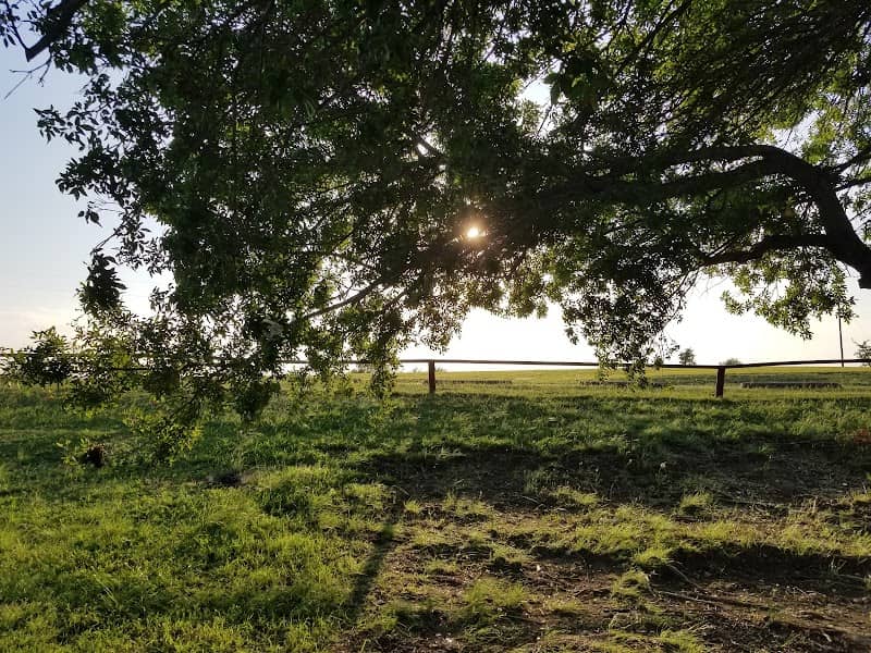 Samuell New Hope Park - Image 1