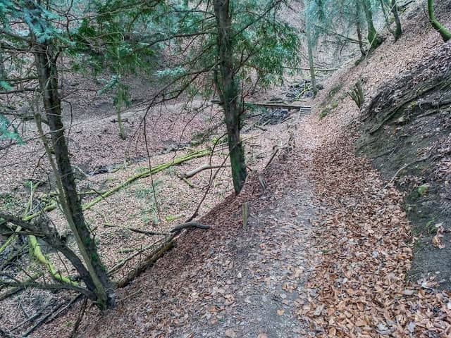 Naturreservat Unterwilerberg - Image 3