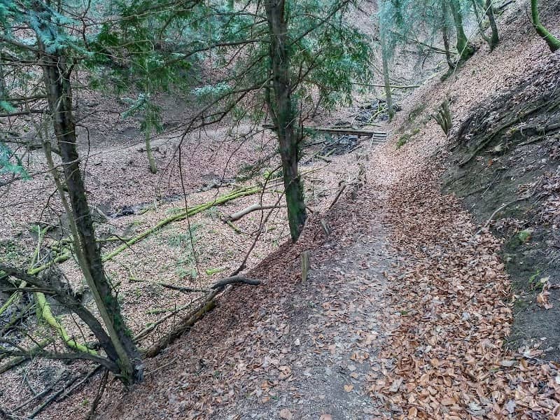 Naturreservat Unterwilerberg - Image 3
