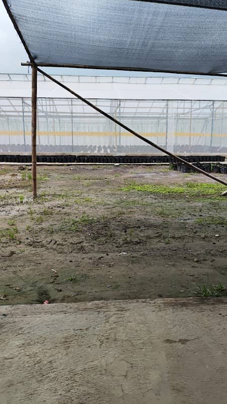 Mantri Melon Farm 1 - Image 1