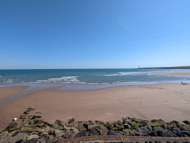 Montrose Beach - Image 2