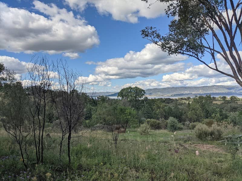 Burrendong Botanic Garden & Arboretum - Image 1