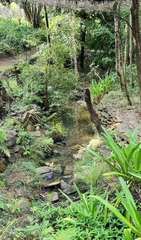 Burrendong Botanic Garden & Arboretum - Image 2