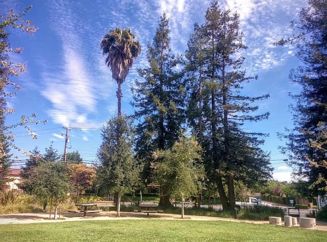 Franco Park - Image 1