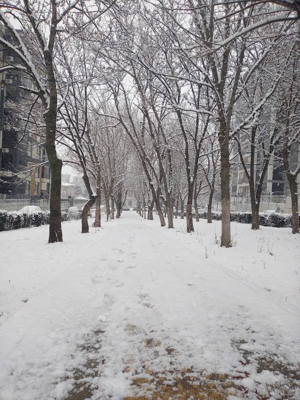 Child park - Image 1