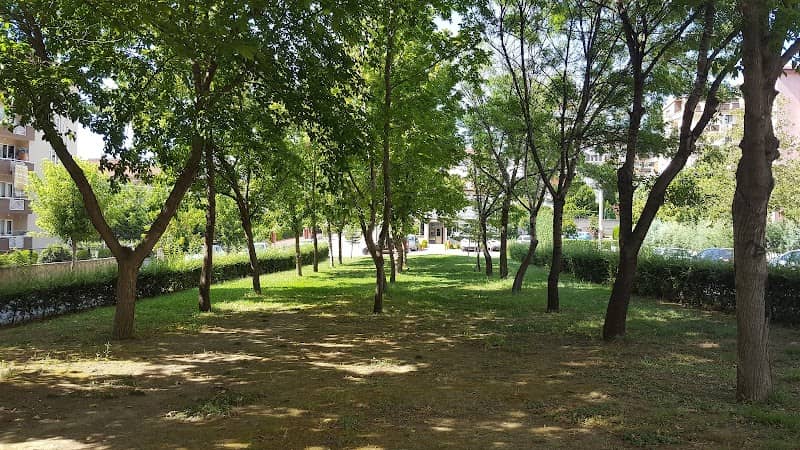 Child park - Image 2
