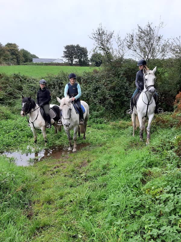 Lucky Meadows Equestrian Centre - Image 2