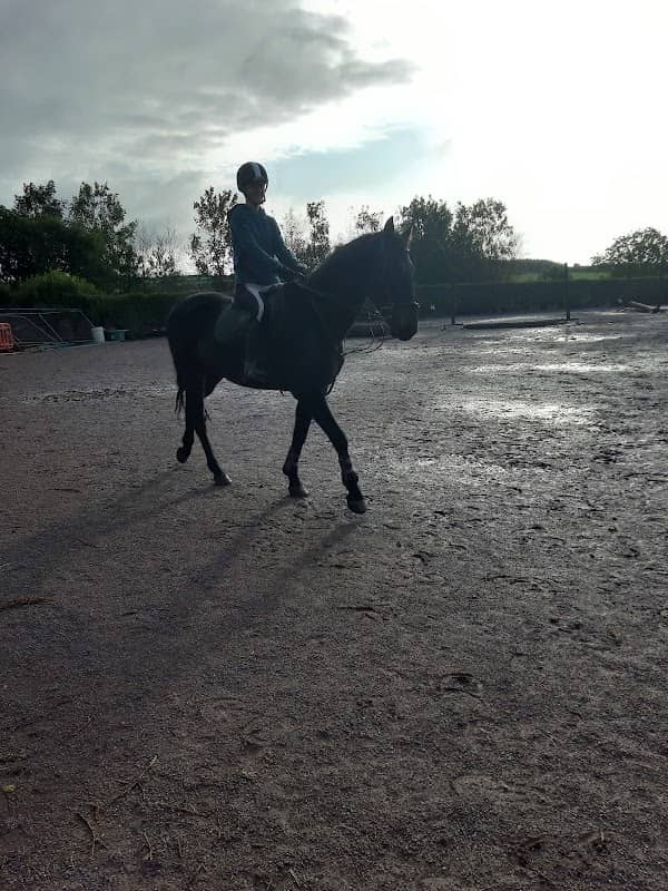Lucky Meadows Equestrian Centre - Image 1
