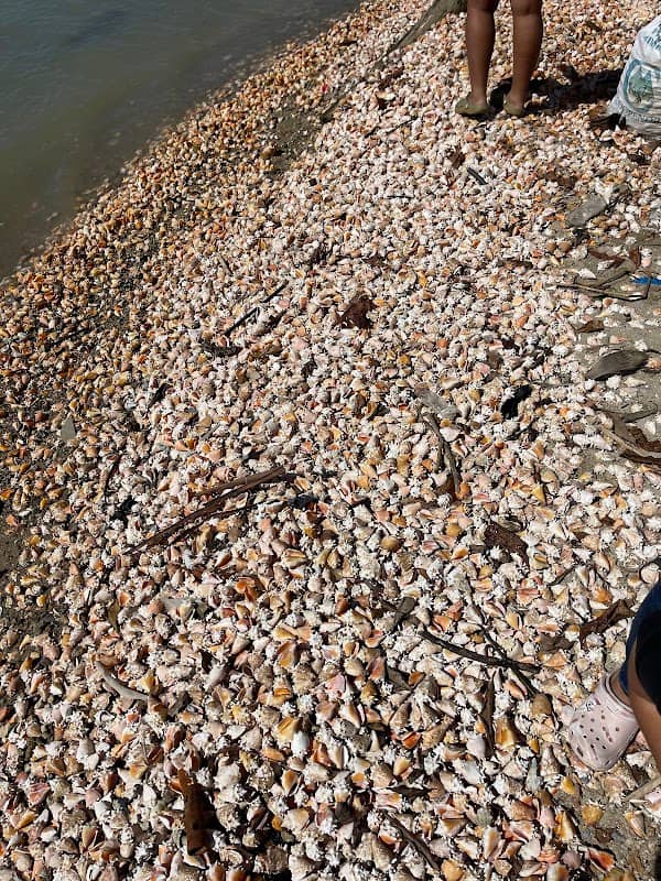 Playa Caracol - Image 1