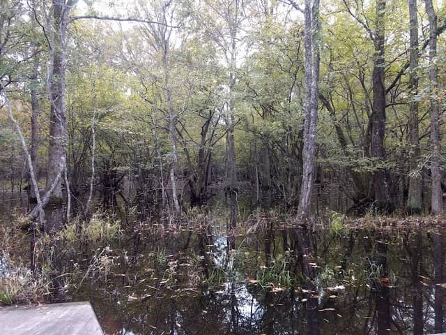 Little River National Wildlife Refuge - Image 2