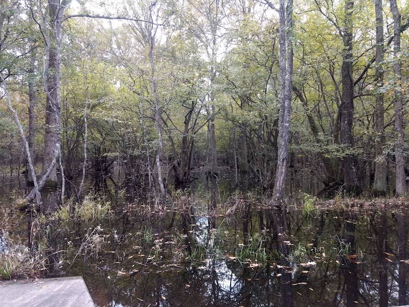 Little River National Wildlife Refuge - Image 2
