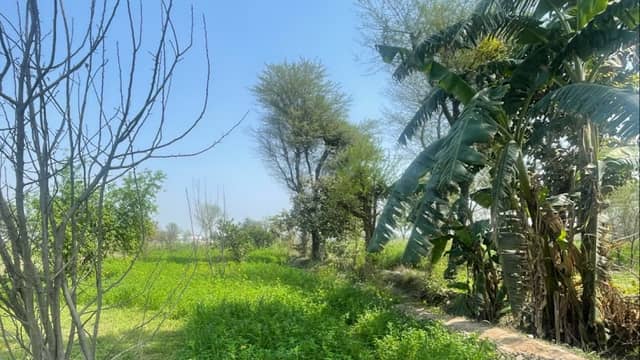 Malik Farm House - Image 1