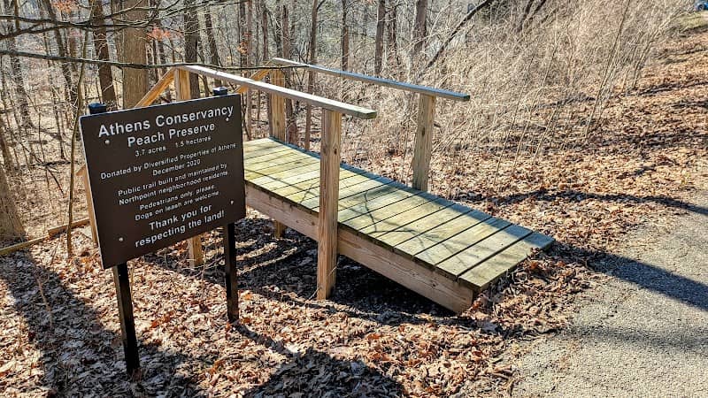 Peach Preserve - Image 2