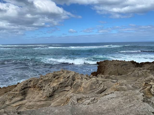 Old aquariums at Warrnambool Harbour - Image 1
