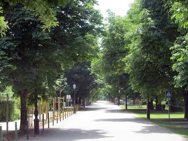 Herceghalmi Parkerdő - Image 1