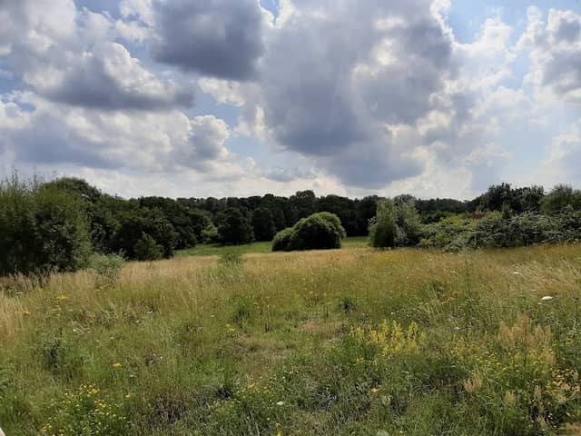 Queen's Hills Community Park - Image 1
