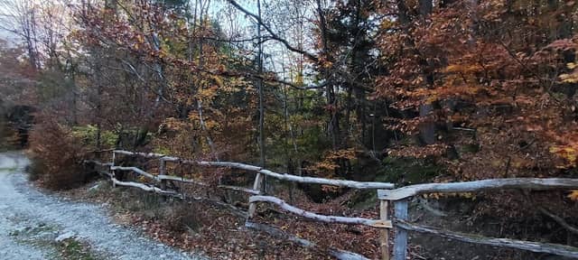 Silbersee zu Kransberg - Image 1