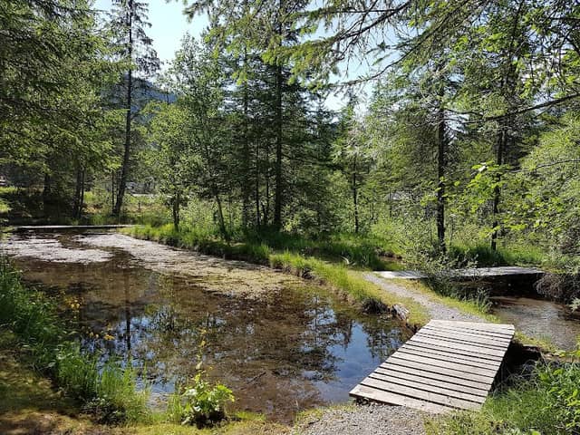 Domaine Des Sources - Image 1