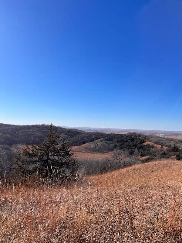 Loess Hills State Forest (Little Sioux Unit) - Image 1