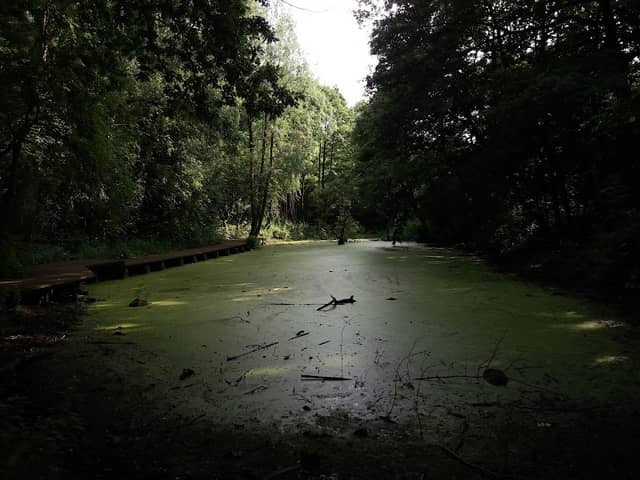 Oakwood Gate Park - Image 2