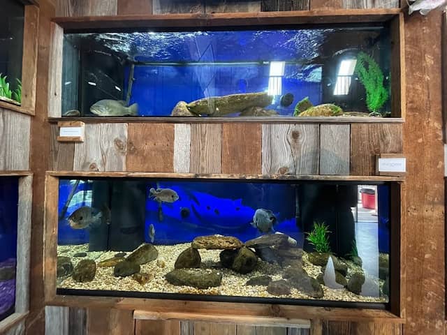 Swain County Aquarium - Image 1