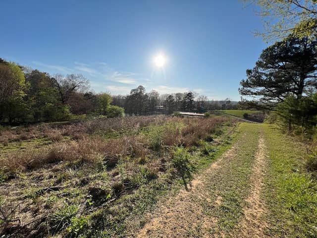Raven Roost & Truckin’ trail - Image 1